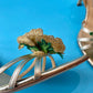 Y2K Jimmy Choo Gold Rose Strappy Heels New In Box