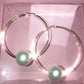 Shop Journal Pearl Hoops